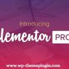 Elementor PRO WordPress Page Builder