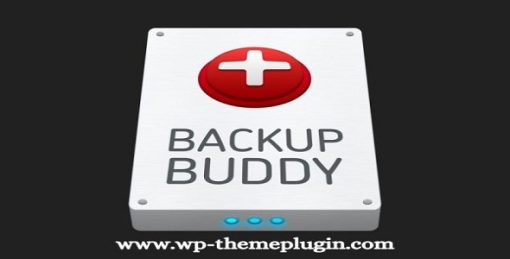 BackupBuddy WordPress Backup Plugin