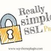 Really Simple Ssl Pro Plugin