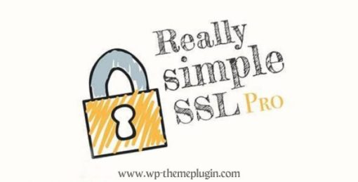 Really Simple Ssl Pro Plugin