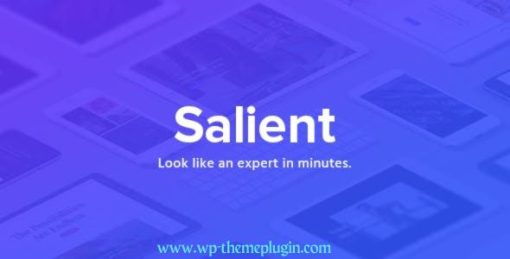Salient WordPress Theme