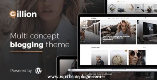 Gillion Multi-Concept Blog/Magazine & Shop WordPress Amp Theme