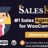 Salesking Ultimate Sales Team And Agents