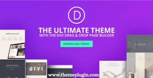 Elegant Themes The Divi Builder