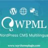 The WordPress Multilingual Plugin