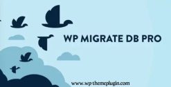 Wp Migrate Db Pro