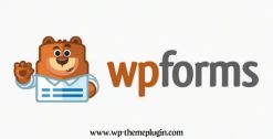 Wpforms Pro Wordpress Plugin + Addons