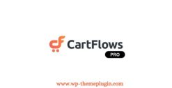 CartFlows Pro Get More Leads, Increase Conversions
