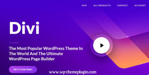 divi wordpress theme