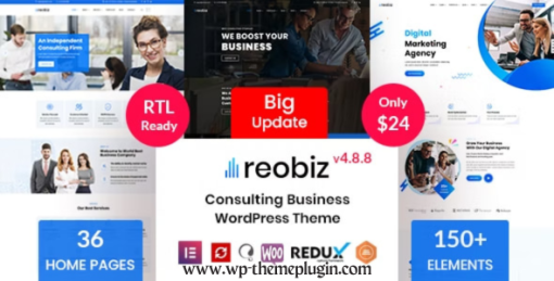 Reobiz Consulting Business Theme