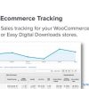 MonsterInsights ECommerce Addon