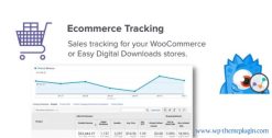 MonsterInsights ECommerce Addon