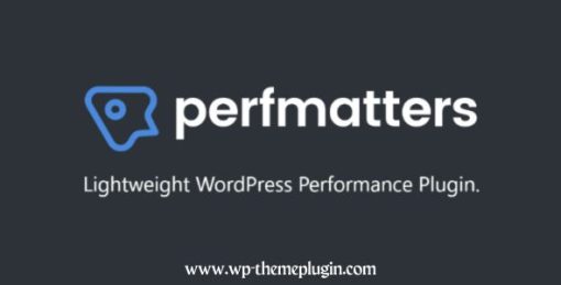 Perfmatters – The #1 Web Performance Plugin For Wordpress